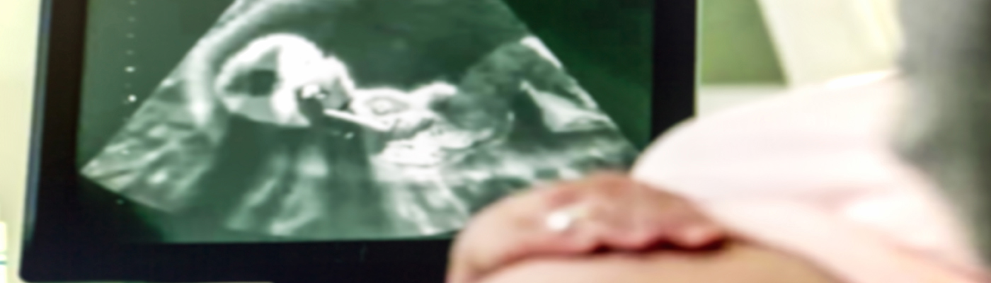 Methodist University Clinical Medical Assistant w/ OBGYN Online ...